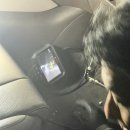 자동차 에어컨 청소 - 에바크리닝 내돈내산 후기