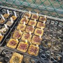 홍문농장 이미지