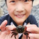 주전몽돌해변1(행정봉사실) 이미지