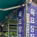 호정상회