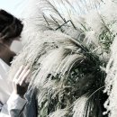 첨성대한의원 이미지