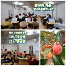 즐거운 하모니카 교실 이미지