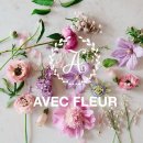 아베크플레르 이미지