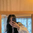 감성캠핑 강화도 어반티지 글램핑 카라반 (머스킷투어 룸 후기)