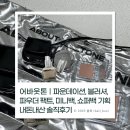 플러피 웨어 블러셔 01 베일 피치, 블러 파우더 팩트 01 페어 미니백 기획, 쇼퍼백 증정 내돈내산 솔직후기