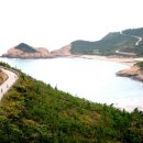 천리투어 더 한국타임즈
