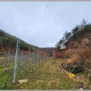 안계초등학교 병설유치원 이미지