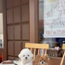 찬카페 - 거제시 거제중앙로3길 15 | 찬카페