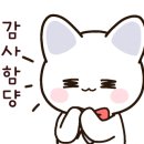 (주)지에스이앤에스