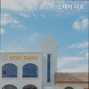 스테이 다로 이미지