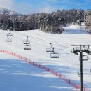 마디메디컬 이미지