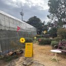 젤리코스 | [제주 체험] 제주여행코스 ‘레몬뮤지엄 제주’ 방문 후기 | 레몬 체험, 레몬젤리 체험