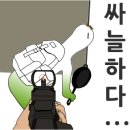 선경인삼