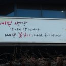 희망의 꽃밭에서 이미지