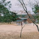 의료법인 제주한방병원 | 제주시 추석 명절 연휴 진료 병원 조회 방법