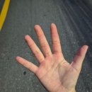 (야간)뜨개질 기초 | 2025.10 📷🧋🌅