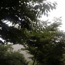 머무름 오토캠핑장 전 네이버블로그