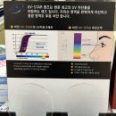 대도안경 | 전주 안경점|:신시가지 안경 솔직 후기_[채플린안경콘택트도청점]