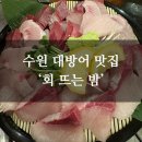 경기도 수원시 권선구 세권로138번길 63 (세류동) | [공지] [수원 대방어 맛집] &#39;회, 뜨는 밤&#39; 찐 솔직 후기