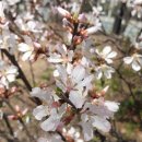 어머니공인중개사사무소 이미지