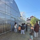 강화고인돌 캠핑장 | 할로윈데이 강화 고인돌 캠핑장 아이동반 가족캠 키즈캠핑 강추 후기 아이와 가볼만한 곳