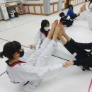 으뜸태권도체육관 이미지