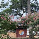 무양서원 | 무양서원 방문 후기ㅣ광주광산구 배롱나무 명소,광산구 문화관광 해설사 운영, 화려광산