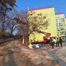 죽산초교길 이미지