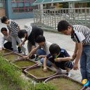 전영규농장 이미지