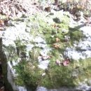 복흥면사무소 이미지