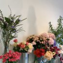 [내돈내산]연희동 꽃집 리따플라워에서 오마니 생신 꽃다발 산 후기