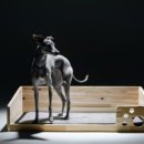 콜렌육십도 이미지