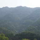 금산 서대산(西臺山) 산행기 이미지