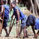 소아마비 백신의 실체를 폭로 이미지