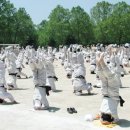 국선도 세계일보