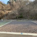 벽계정 | 벚꽃캠핑 명소, 벽계야영장에서 레이 첫 차박!(타이밍 실패?)