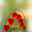 23년7월26일 수요일 전남방 출석부 이미지