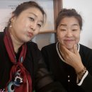 서부2동행정복지센터 이미지