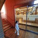 석천할머니 이미지