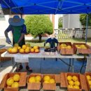 장경희농장 이미지