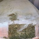 (주)그린펫푸드 이미지