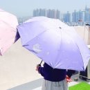 양산 이미지