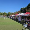 영마루공원 게이트볼장 이미지