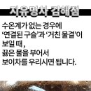 지유명차 티스토리