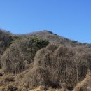 양화농장 이미지