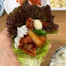 청구약수터 | 제천 하소동 오삼불고기 맛집 약수터식당