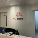 두근동물병원 네이버블로그