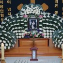 에스텔 이미지