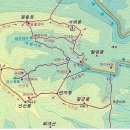 유림-38 이미지