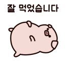 크레페리 이미지